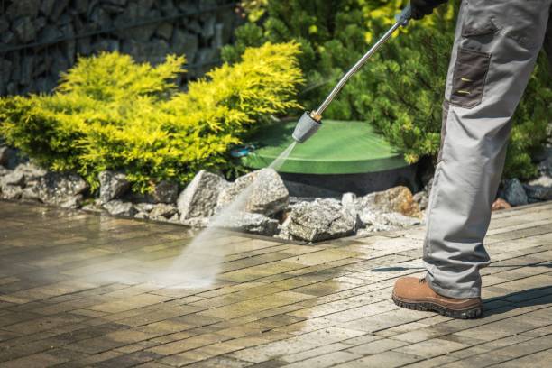Best Winterizing Services  in Hollister, CA