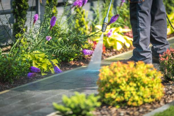 Best Dumpster Area Cleaning  in Hollister, CA